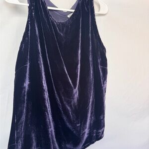 Ghost Vintage Velvet Top in Rich Purple